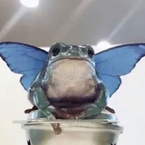 Meet your Posher, ᴄᴀʀᴏʟɪɴᴀ